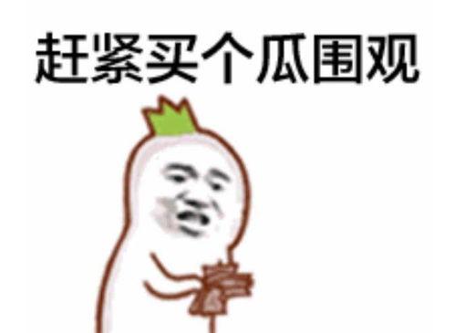 吃瓜群众英文翻译是什么,From 'Eating Watermelons' to 'Gossipy Spectators': The Evolution of the English Translation for 'Chī guā qúnzhòng'