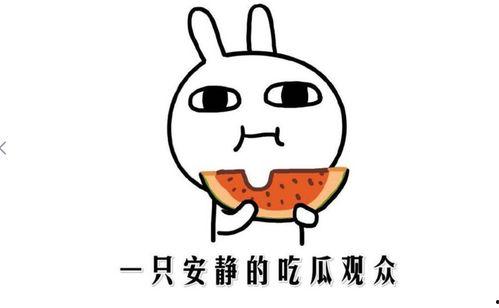 娱乐吃瓜酱梗,吃瓜酱背后的那些事儿