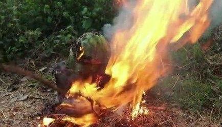 暗黑吃瓜官网入口免费观看