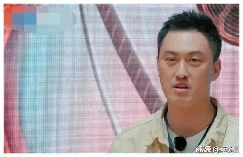 娱乐圈吃瓜实录,揭秘明星幕后真相