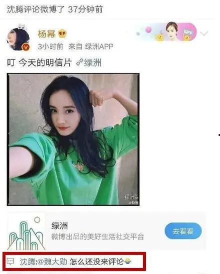 娱乐圈吃瓜小王是什么,吃瓜小王带你探秘明星幕后故事